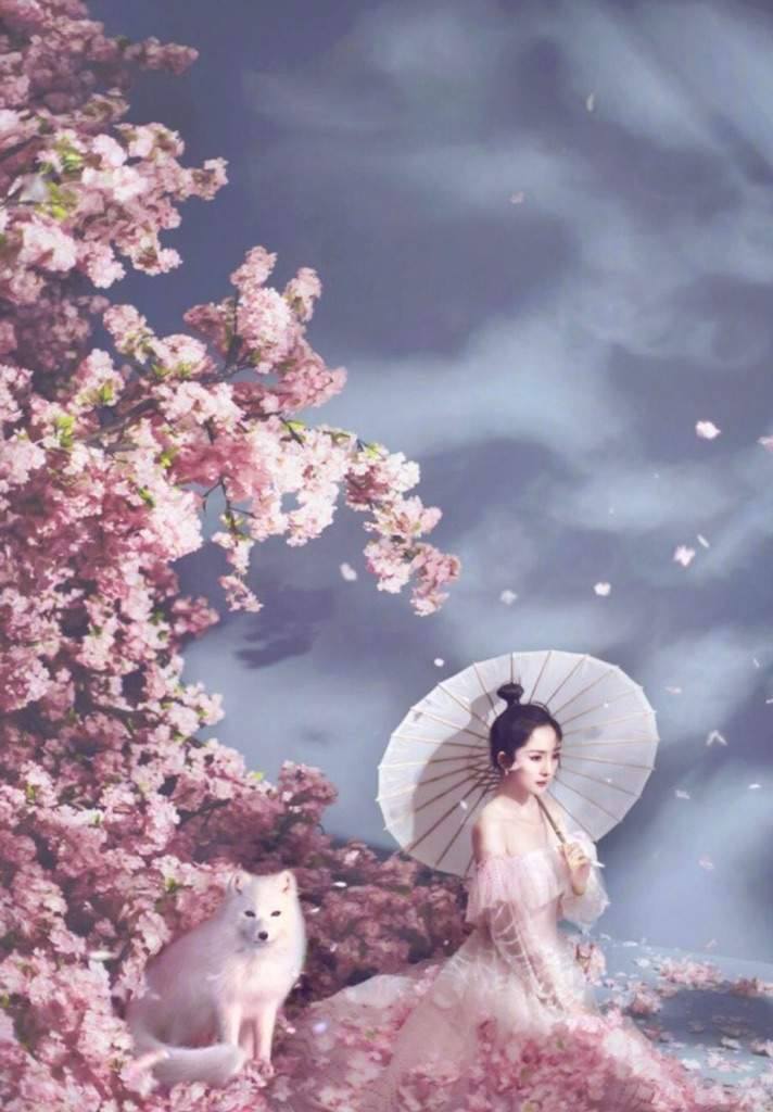 Yang Mi 